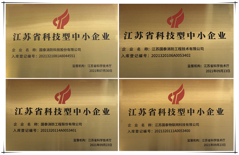 喜訊！國泰集團(tuán)下屬多家公司獲“科技型中小企業(yè)”認(rèn)定